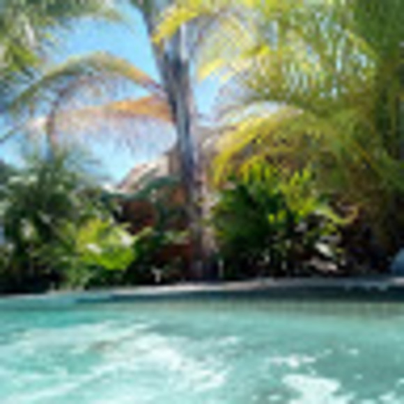 Meet your Posher, Zoesbrattycupcakes - Picture 1 of 1